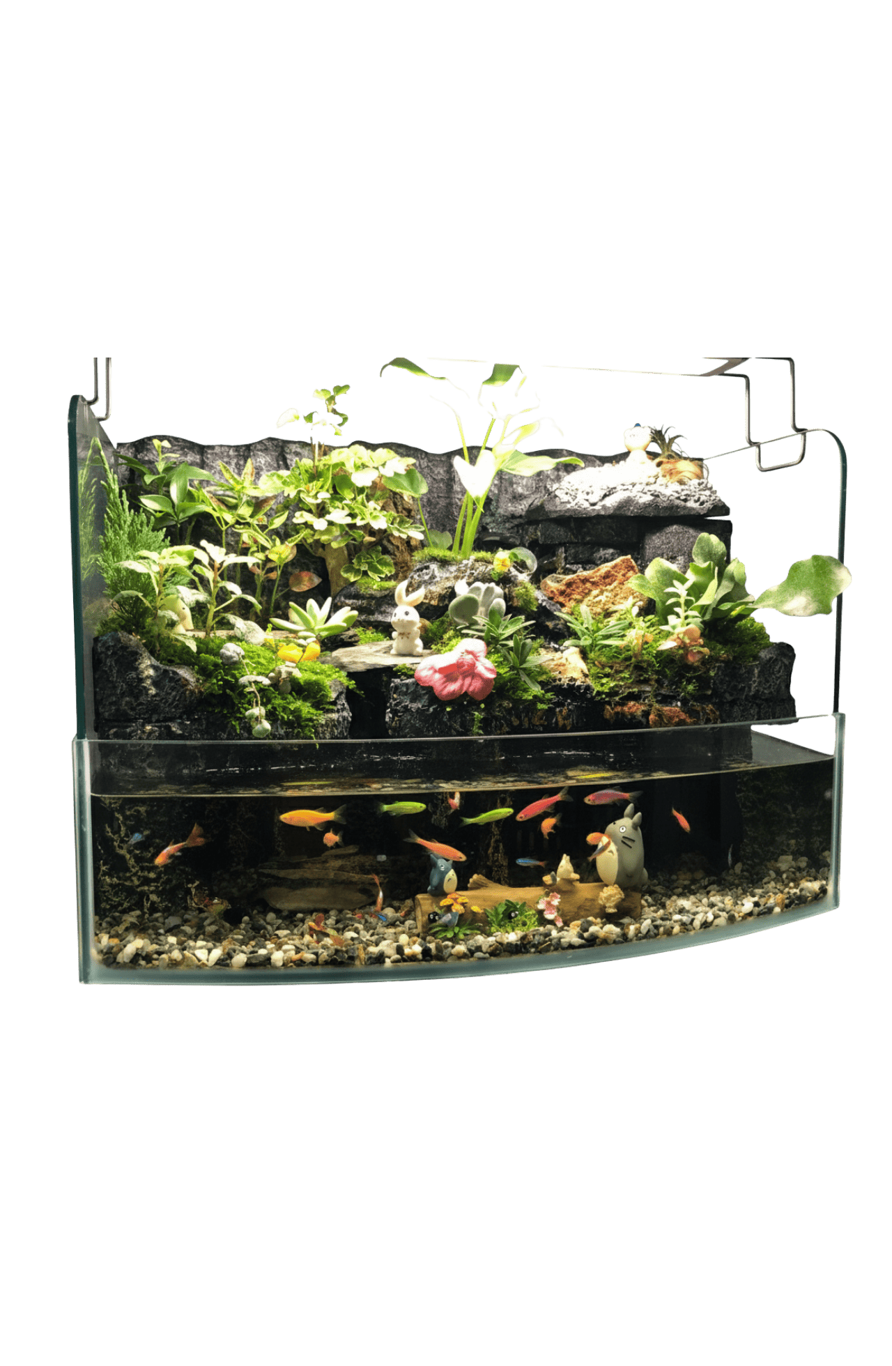 雨淋缸、水陸缸製作